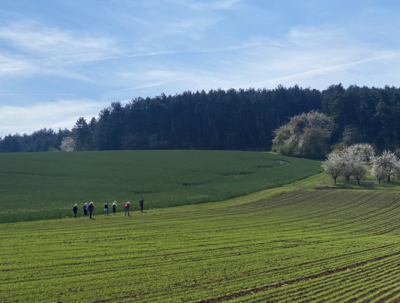 Foto von Stefanie Adrian-Fiedler: Zum Volkenberg bei Würzburg