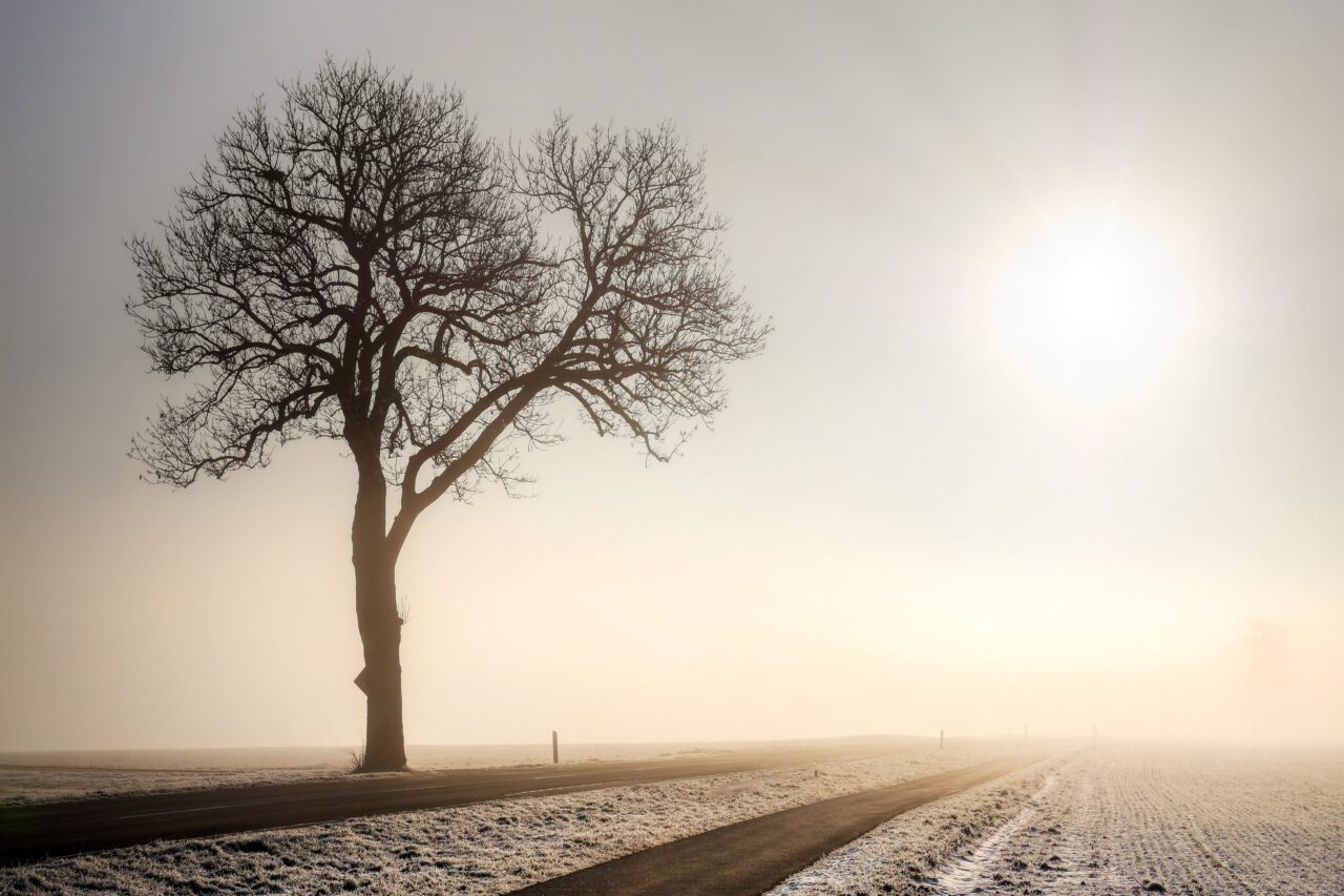 Der Trainingstrick zum Licht