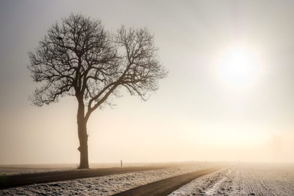 Helligkeit gewinnen